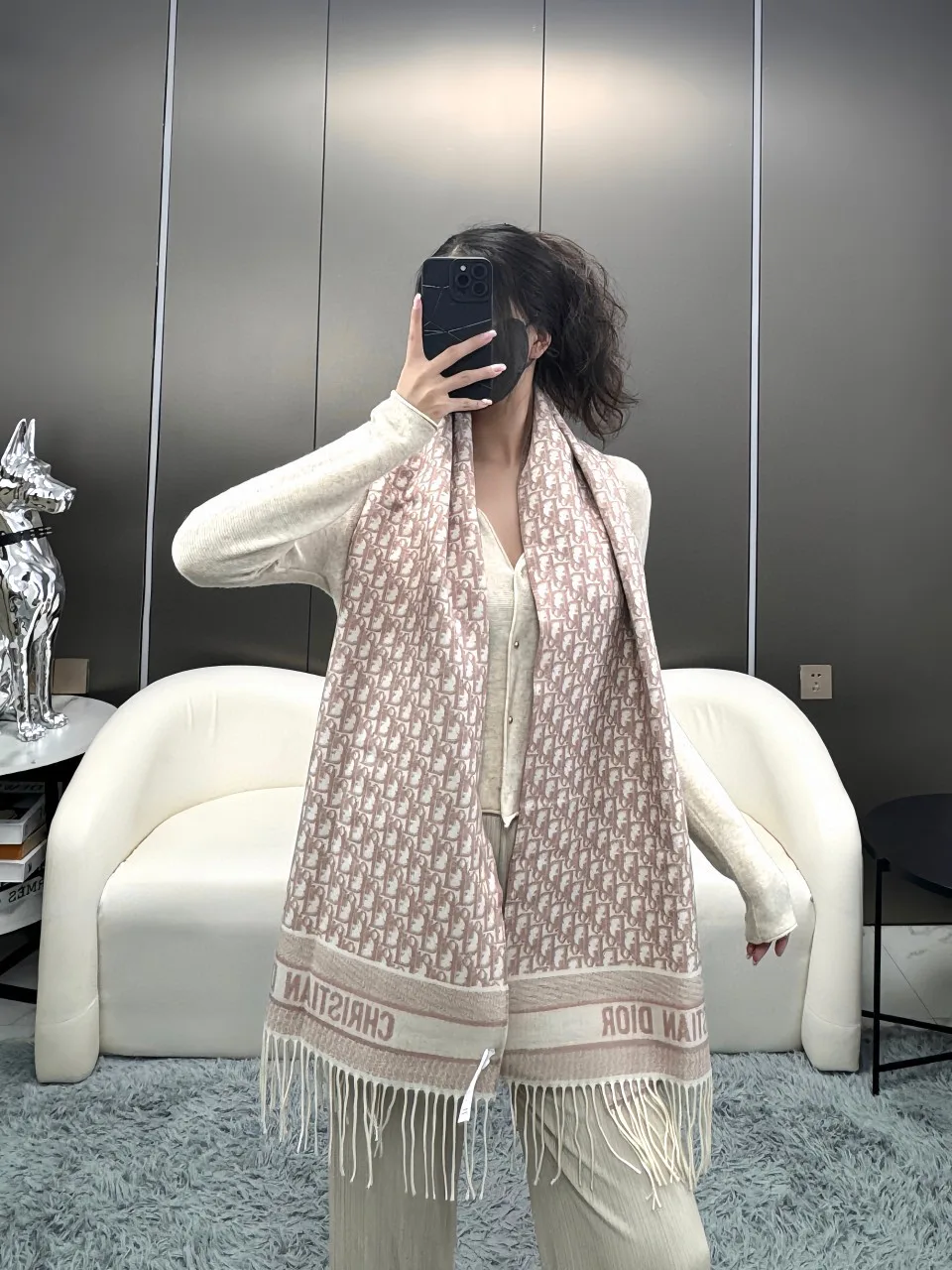 Dior Scarf