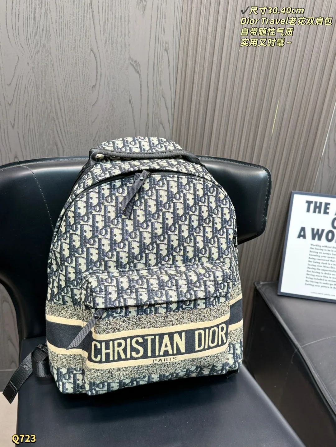 Dior Backpack