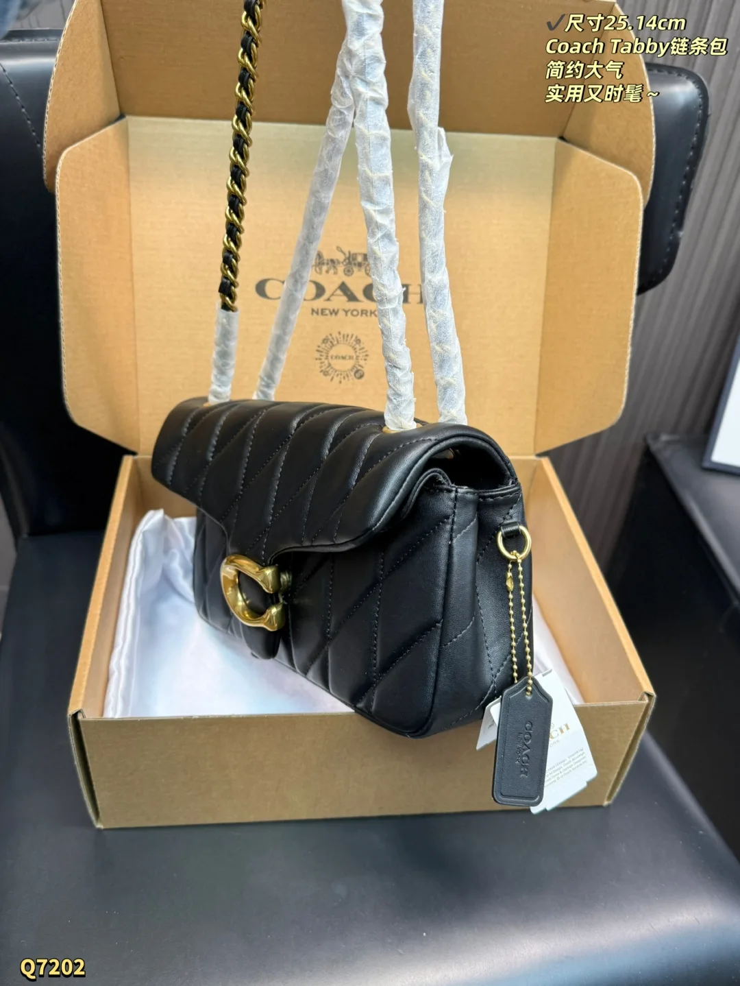 Coach Chain Bag