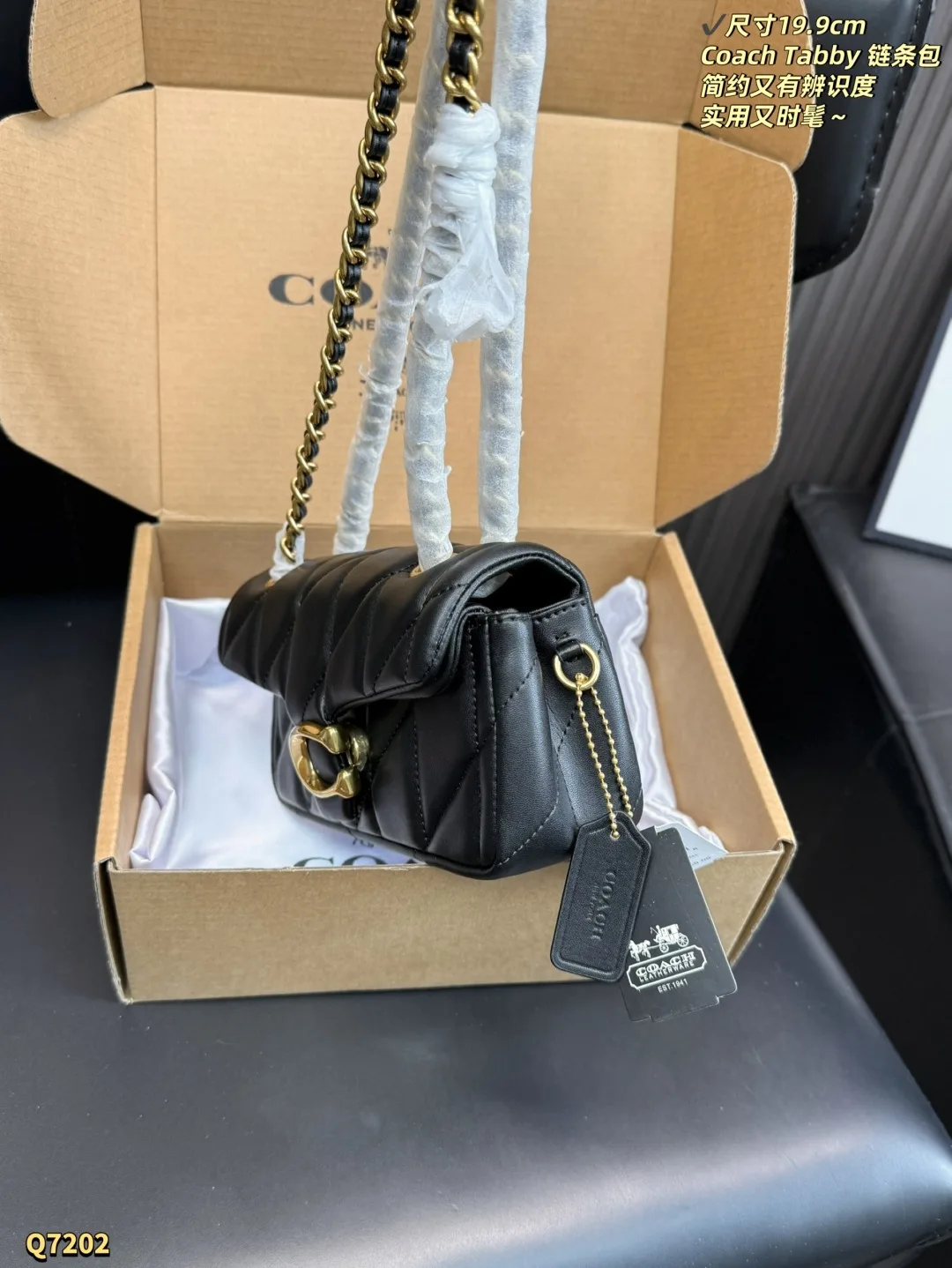 Coach Chain Bag