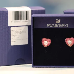 Express Earrings