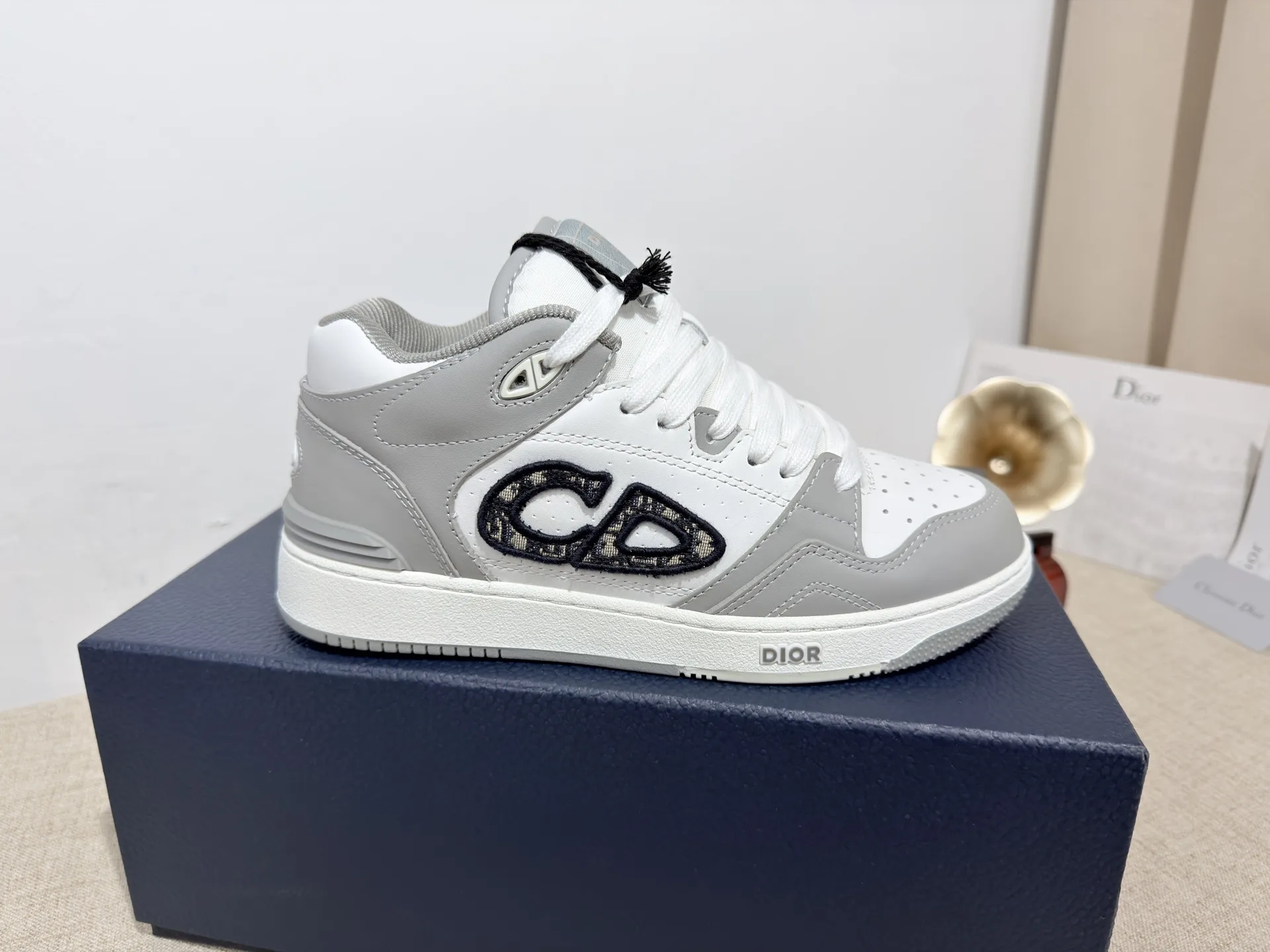 Dior Basketball Shoes