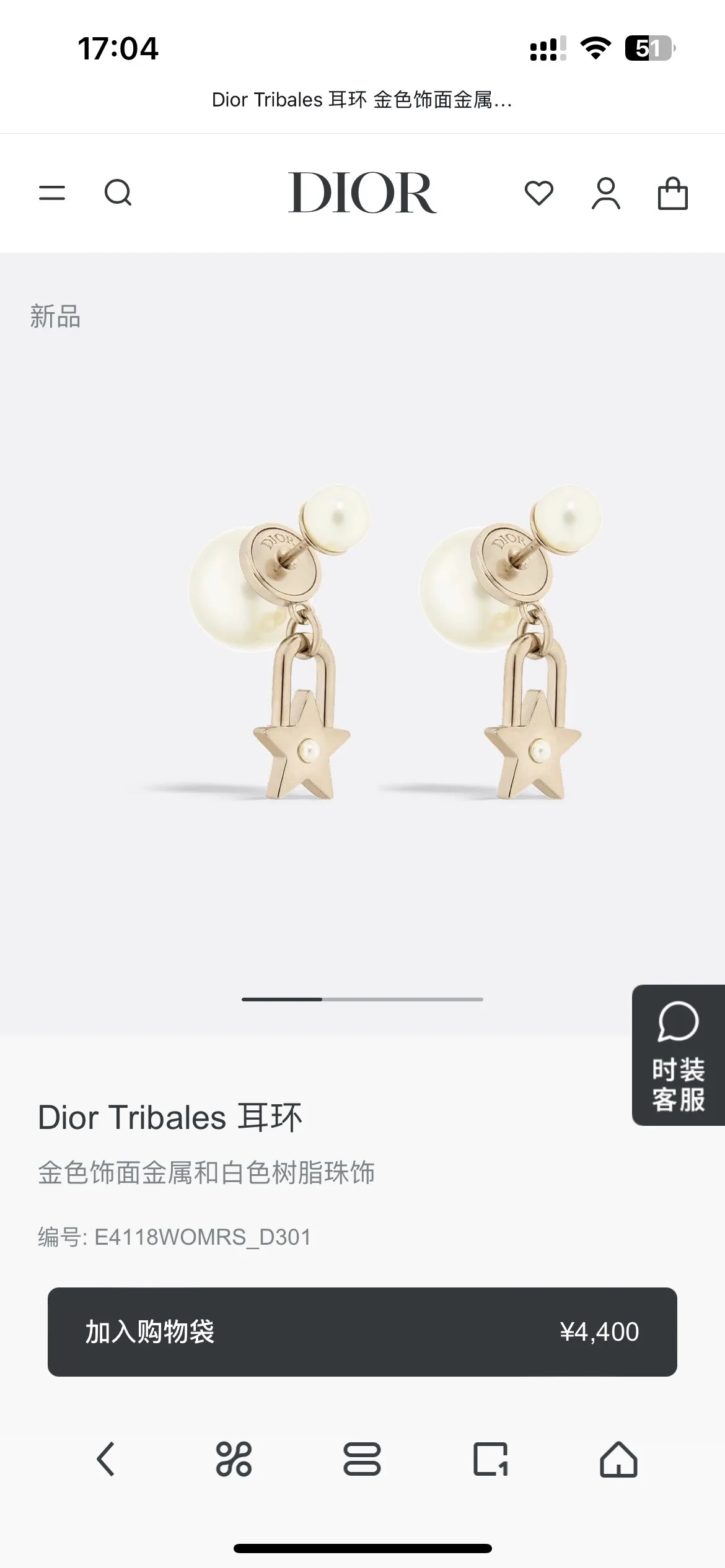 Dior Earrings