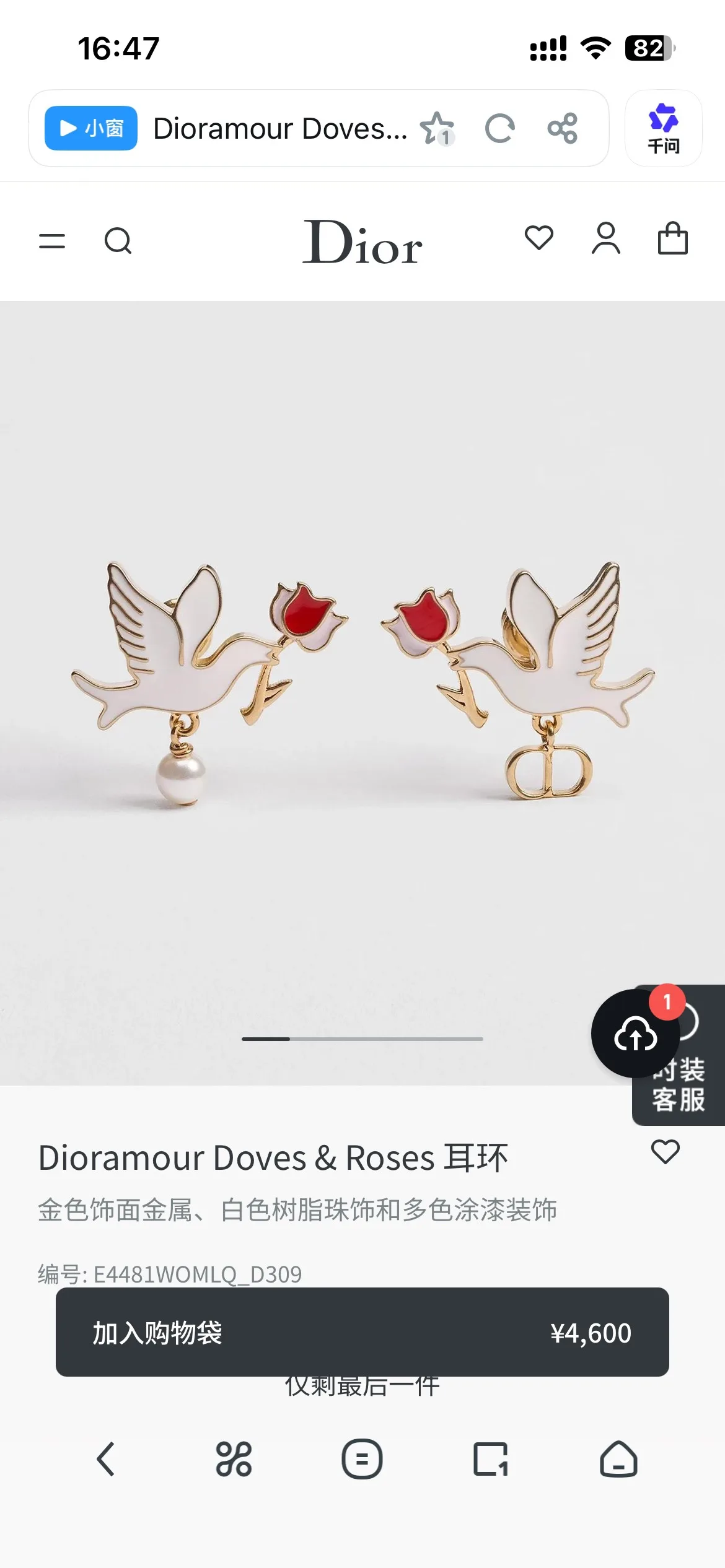 Dior Earrings